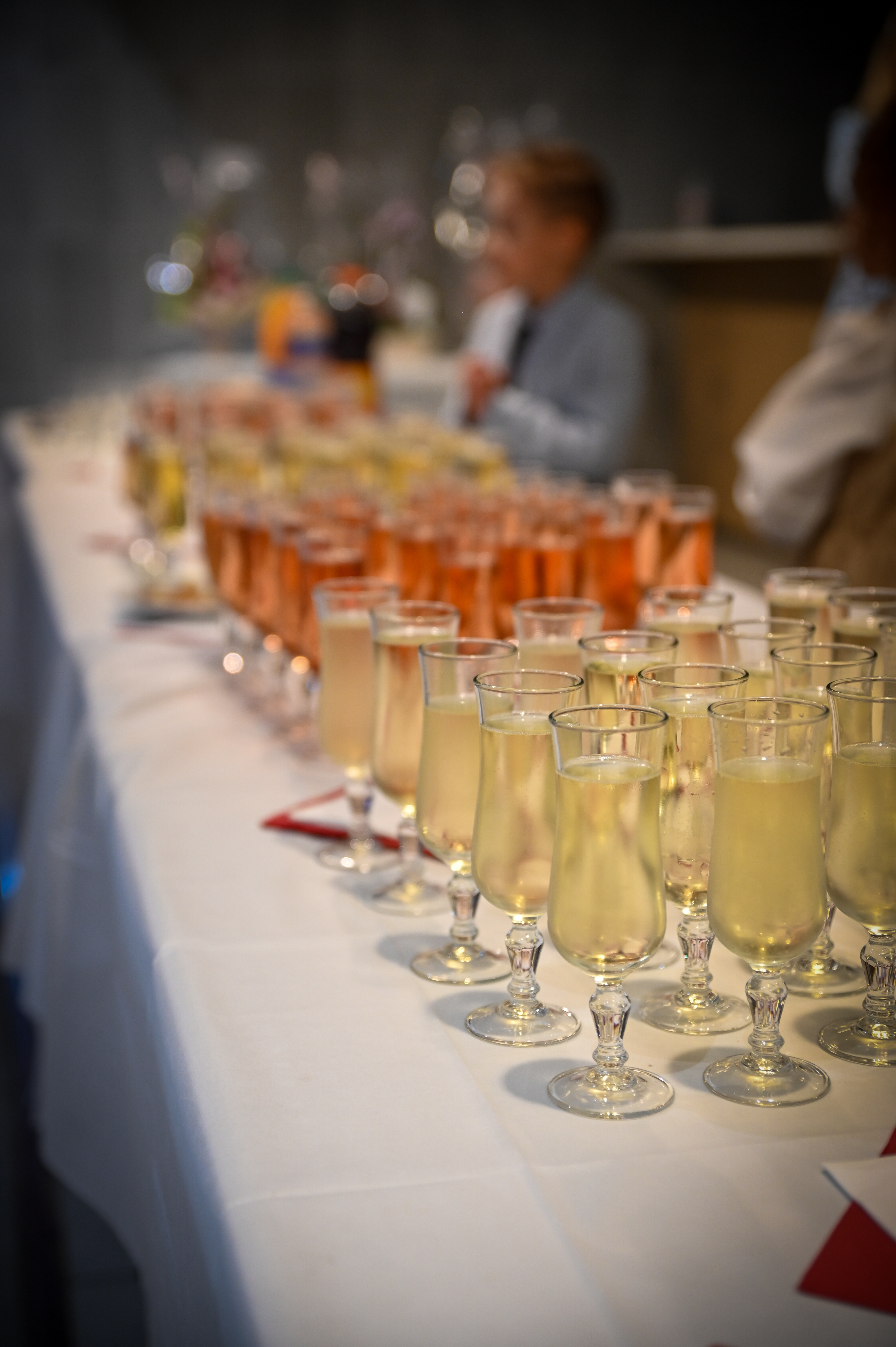 Photo vin d'honneur mariage Betty et Thierry, Aulnoye Aymeries